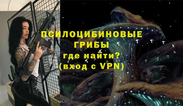 гашик Алзамай