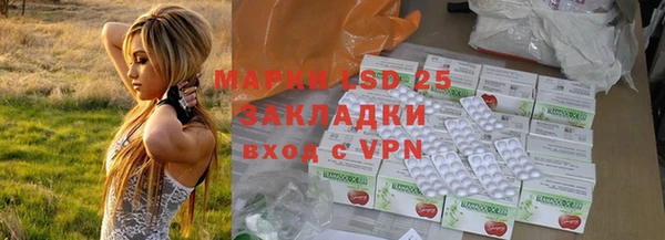 гашик Алзамай