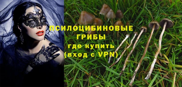 a pvp Алексин