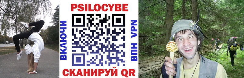 дарнет шоп  Саки  Галлюциногенные грибы прущие грибы 