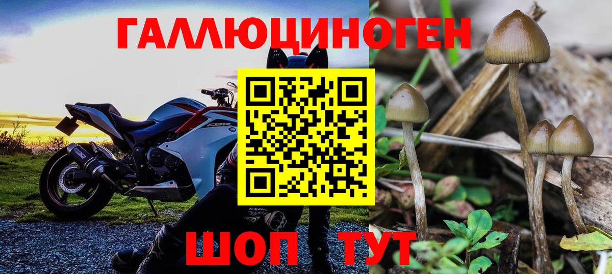 Галлюциногенные грибы GOLDEN TEACHER Саки