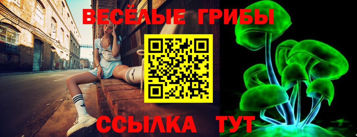 Галлюциногенные грибы Cubensis  Вход с VPN  Галлюциногенные грибы Cubensis  Саки 